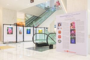 ปล่อยใจให้เบ่งบานไปกับ “Flower & Friend” นิทรรศการศิลปะที่ถ่ายทอดความงามของดอกไม้ผ่านภาพถ่ายและเซรามิก ชมฟรี 1 – 15 กันยายน 2569 ชั้น M สยาม ทาคาชิมายะ ณ ไอคอนสยาม
